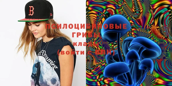 ECSTASY Нефтекумск