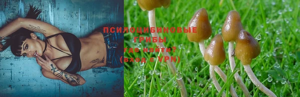 метадон Надым